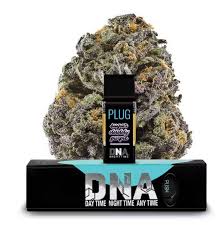 Plug Play - Main Image